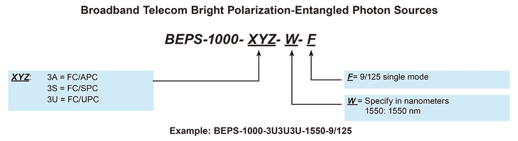 BEPS-1000 型番指定方法