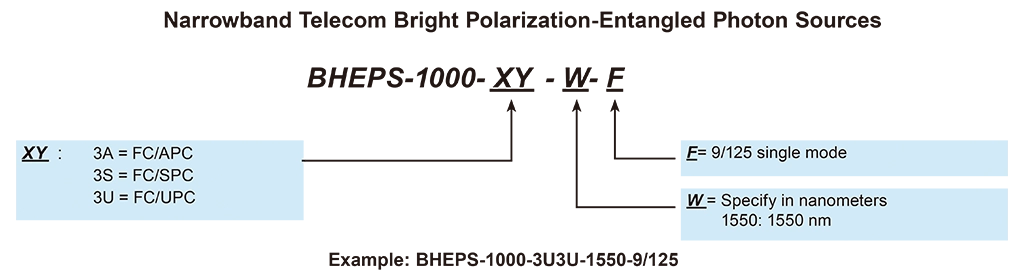 BHEPS-1000 型番指定方法